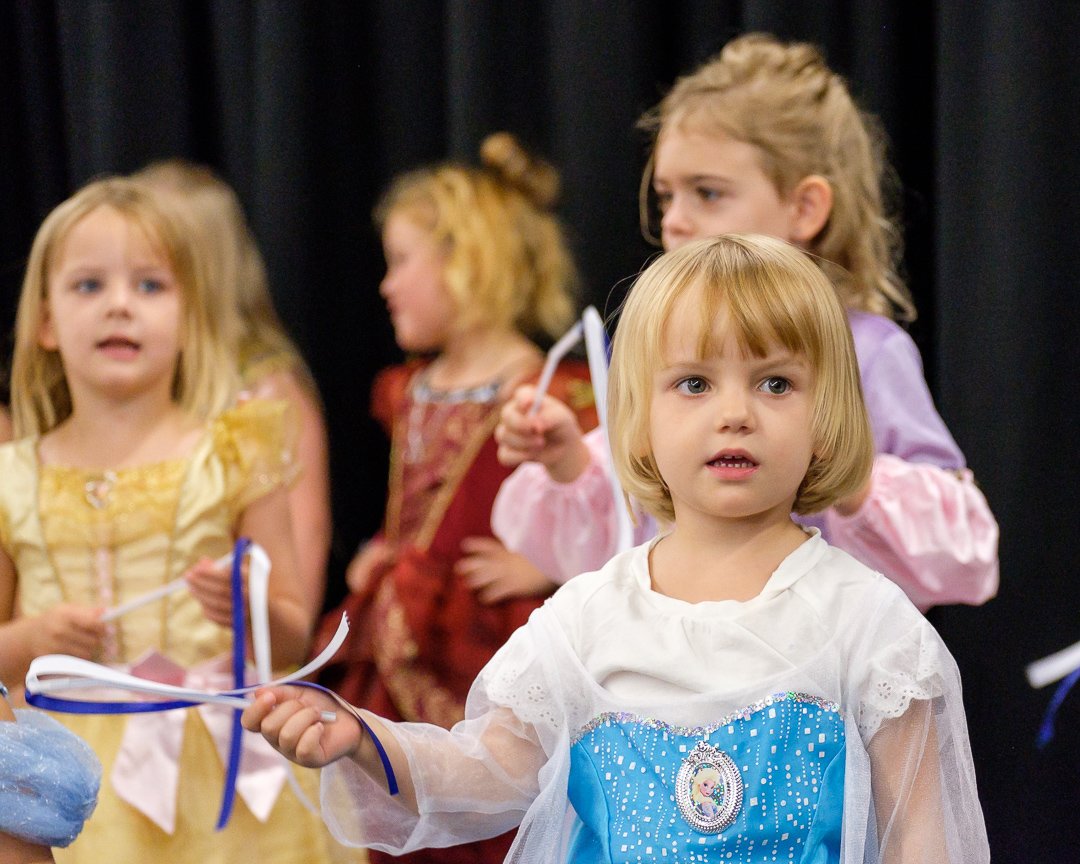 princess17070460.jpg