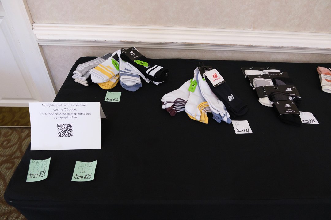 artsballauction250412.jpg